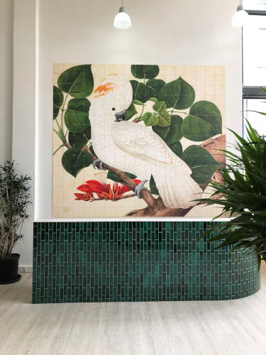 IXXI creates design that lasts with Agfa’s SYNAPS