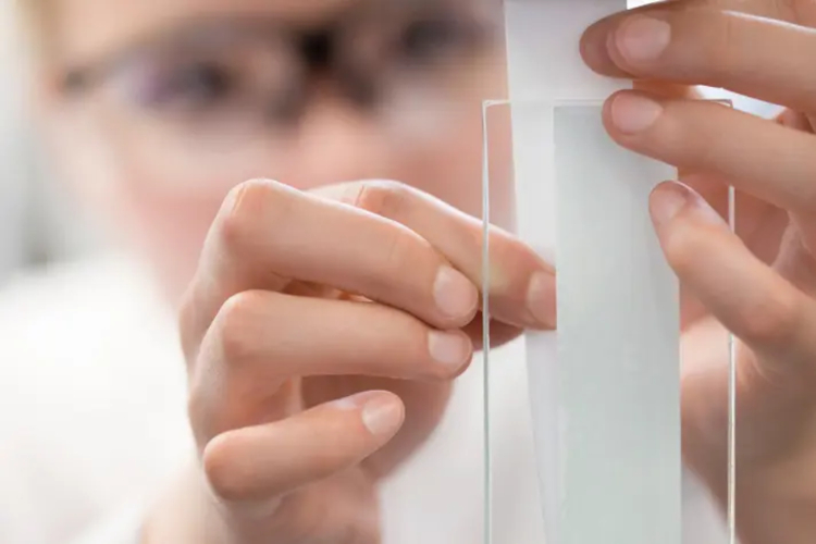 Mark Andy y UPM Adhesive Materials renuevan su alianza estrat&eacute;gica en Am&eacute;rica por s&eacute;ptimo a&ntilde;o consecutivo