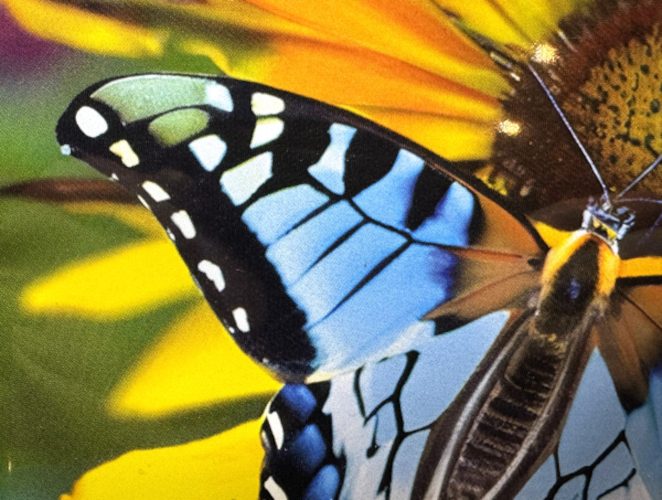 Asahi Kasei Highlights REVO SERIES and Brings AWP&trade;-CLFQ to the US Market at Forum Infoflex 2026