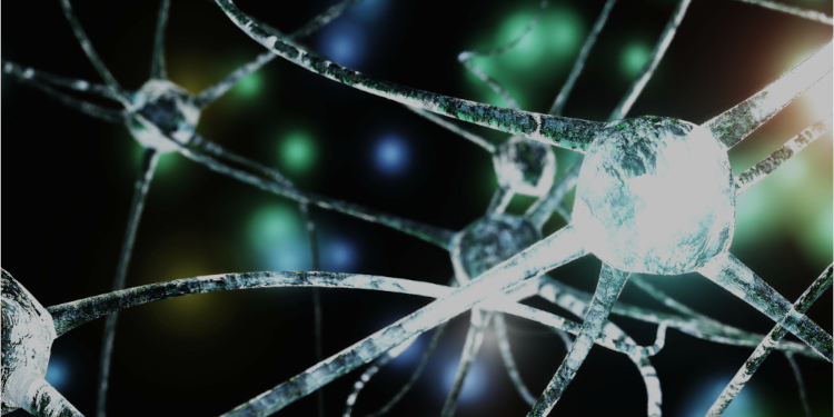 Nueva colaboraci&oacute;n entre Aseigraf y OpenWebinars para impulsar la formaci&oacute;n en Inteligencia Artificial aplicada a la empresa