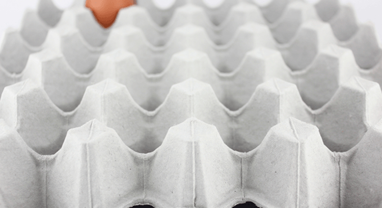 Tres fuerzas que dan forma al futuro de los envases de pulpa moldeada