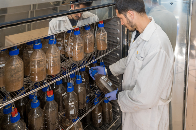 AIMPLAS logra el reconocimiento de sus ensayos de biodegradaci&oacute;n y compostabilidad en Australia y Jap&oacute;n a trav&eacute;s de ABA y JBPA