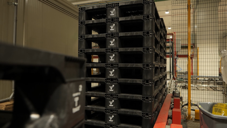 Tosca y Cabka lanzan un nuevo pallet circular, estableciendo un nuevo referente para la logística sostenible de productos de gran consumo