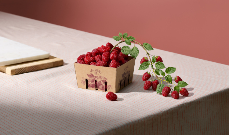 Holmen expands lightweight containerboard range with fresh-fibre fluting