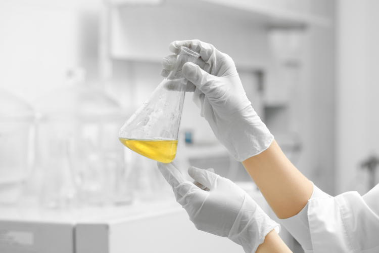 ITENE crea una nueva generaci&oacute;n de bioproductos como biocidas, biochar y ceras para la industria transformando pl&aacute;sticos y biomasa
