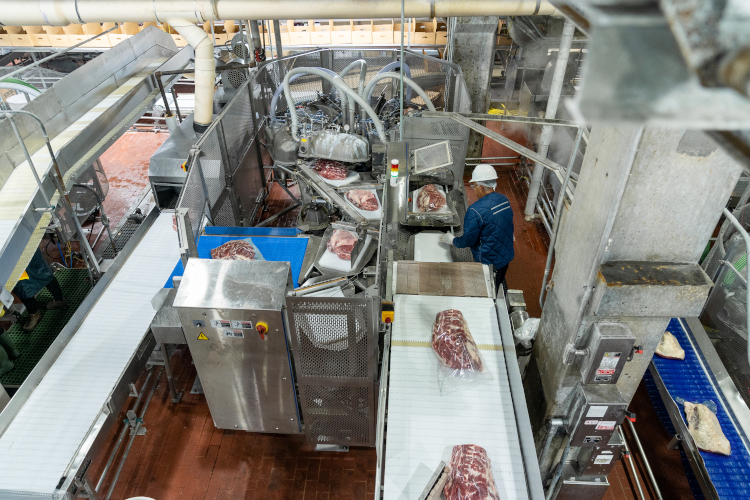 85 años de CRYOVAC®: la tecnología pionera que transformó el envasado de alimentos