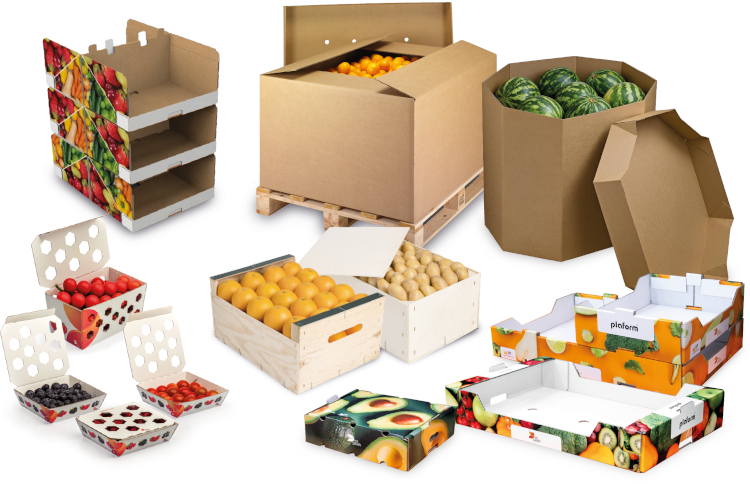 DS Smith presenta en Fruit Attraction su innovadora gama de soluciones de packaging sostenible para frutas y verduras