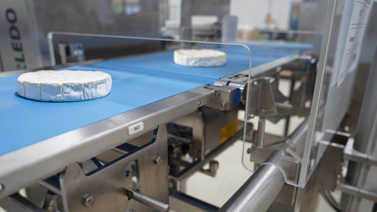 Mettler Toledo anuncia una serie de webinars para ayudar a los fabricantes de productos lácteos a reducir los desperdicios y maximizar el rendimiento