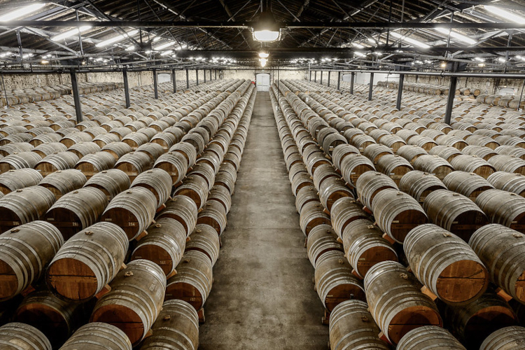 R&eacute;my Martin gana flexibilidad en la producci&oacute;n de lotes peque&ntilde;os y acelera los cambios de formato gracias al sistema inteligente de transporte iTRAK