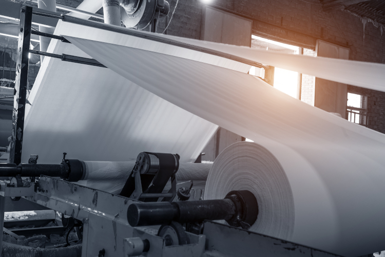 La industria papelera francesa reduce en 1.000 toneladas al a&ntilde;o su consumo equivalente de biocidas gracias a la tecnolog&iacute;a BWT